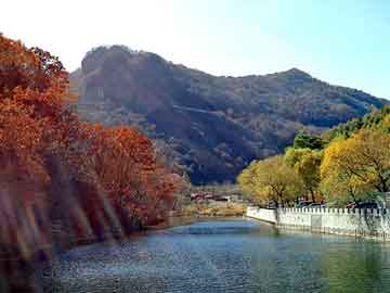 澳门二四六天天彩图库，药王银杏茶